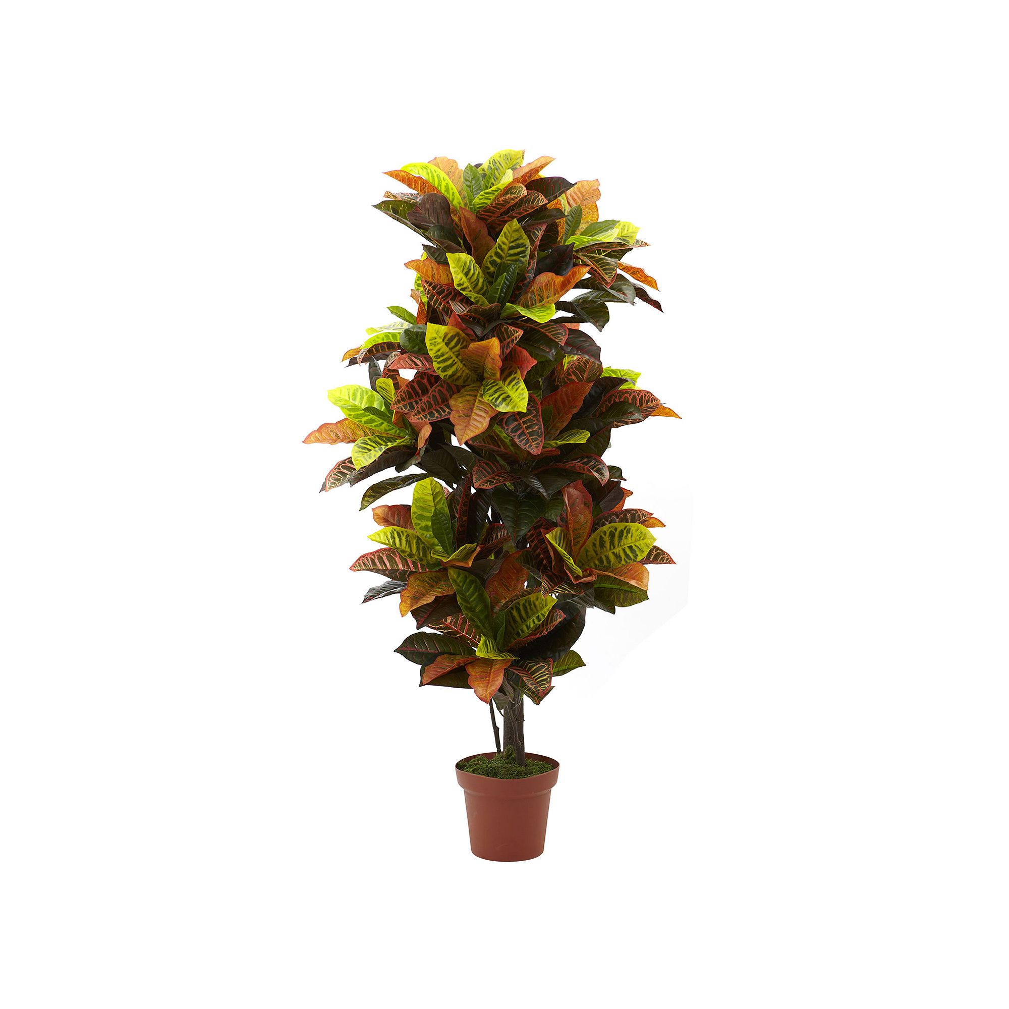 nearly natural 4.6-ft. Potted Croton Plant, Green