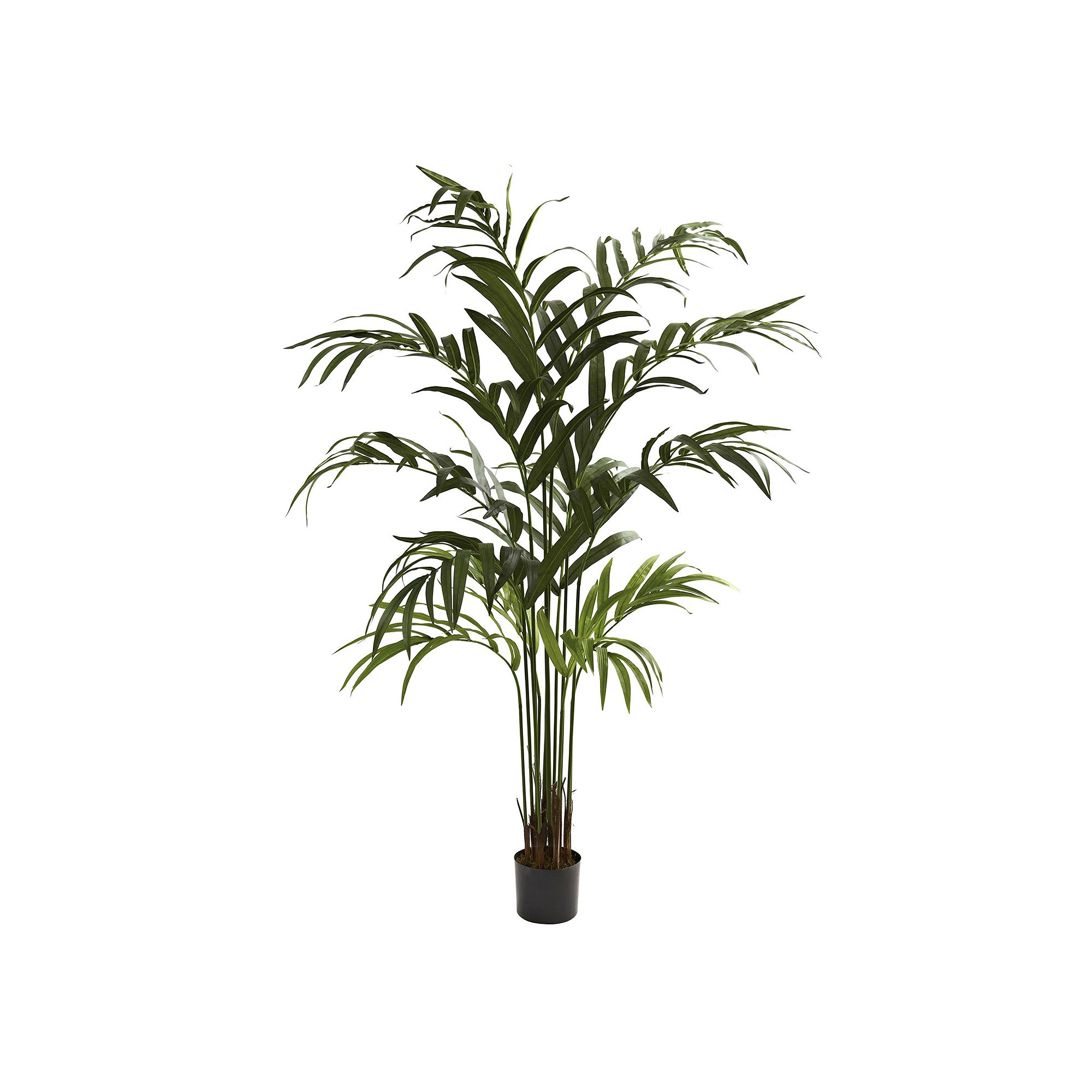 nearly natural 6-ft. Kentia Palm Tree, Green