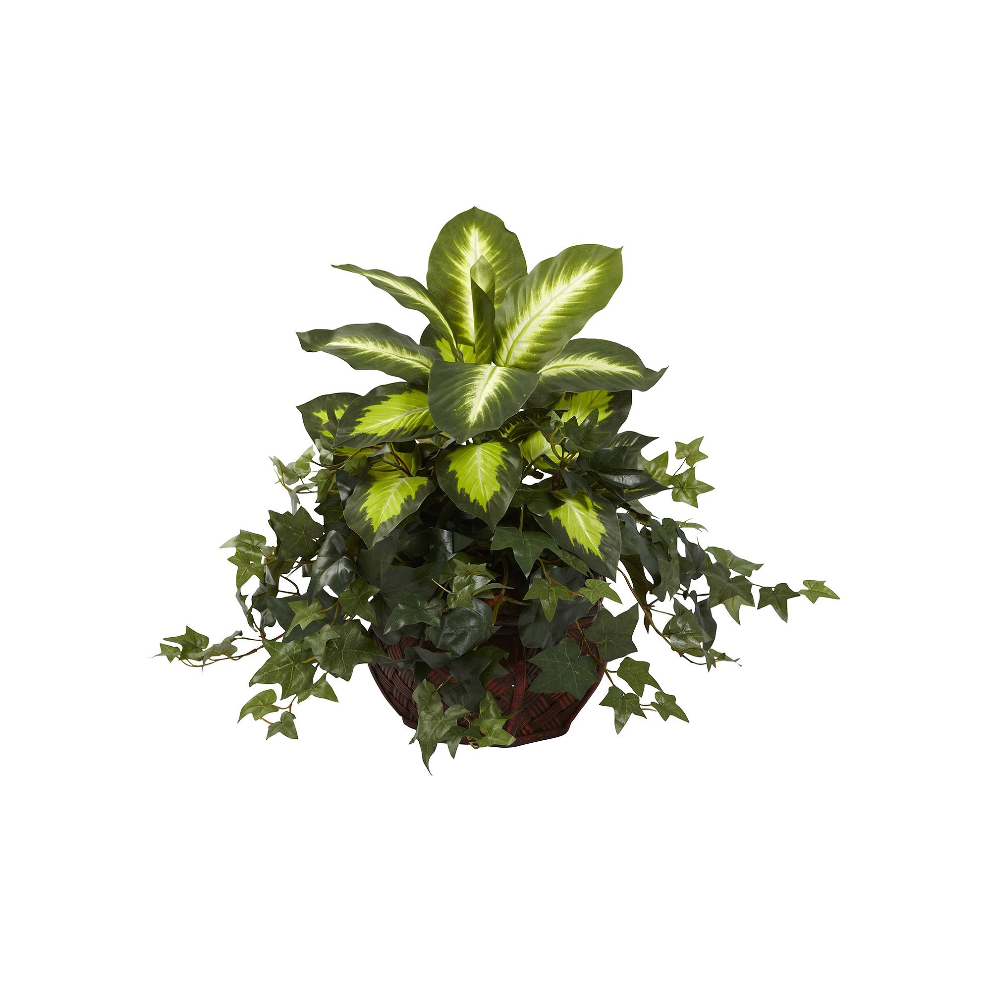 nearly natural Potted Dieffenbachia & Ivy Plant, Green