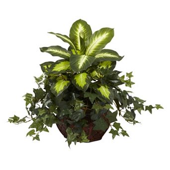 nearly natural Potted Dieffenbachia & Ivy Plant