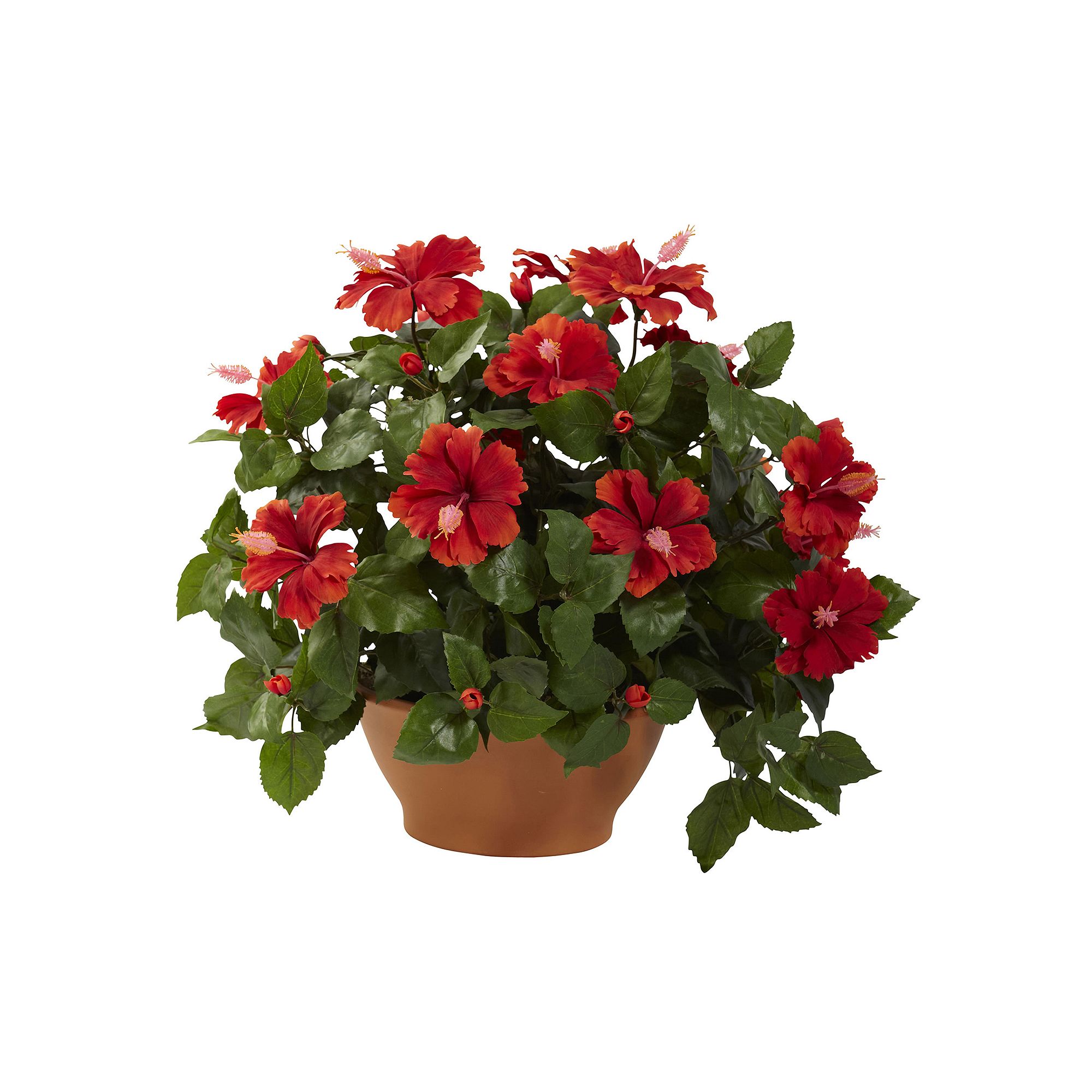 nearly natural Potted Hibiscus Plant, Green