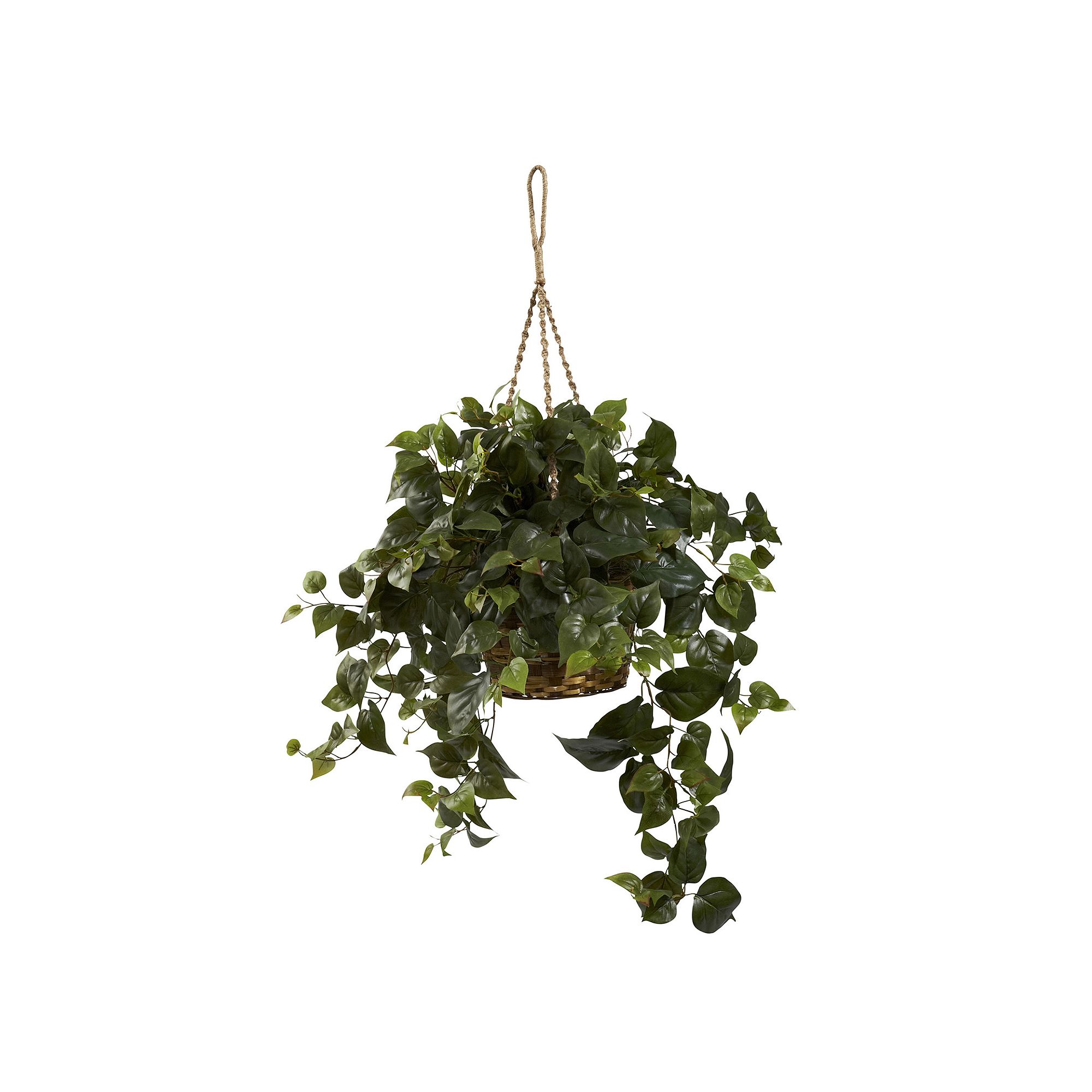 nearly natural Philo Hanging Plant Basket, Green