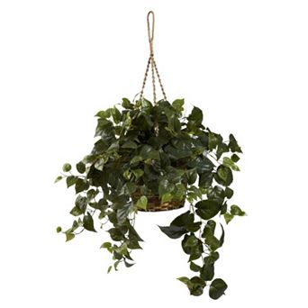 nearly natural Philo Hanging Plant Basket
