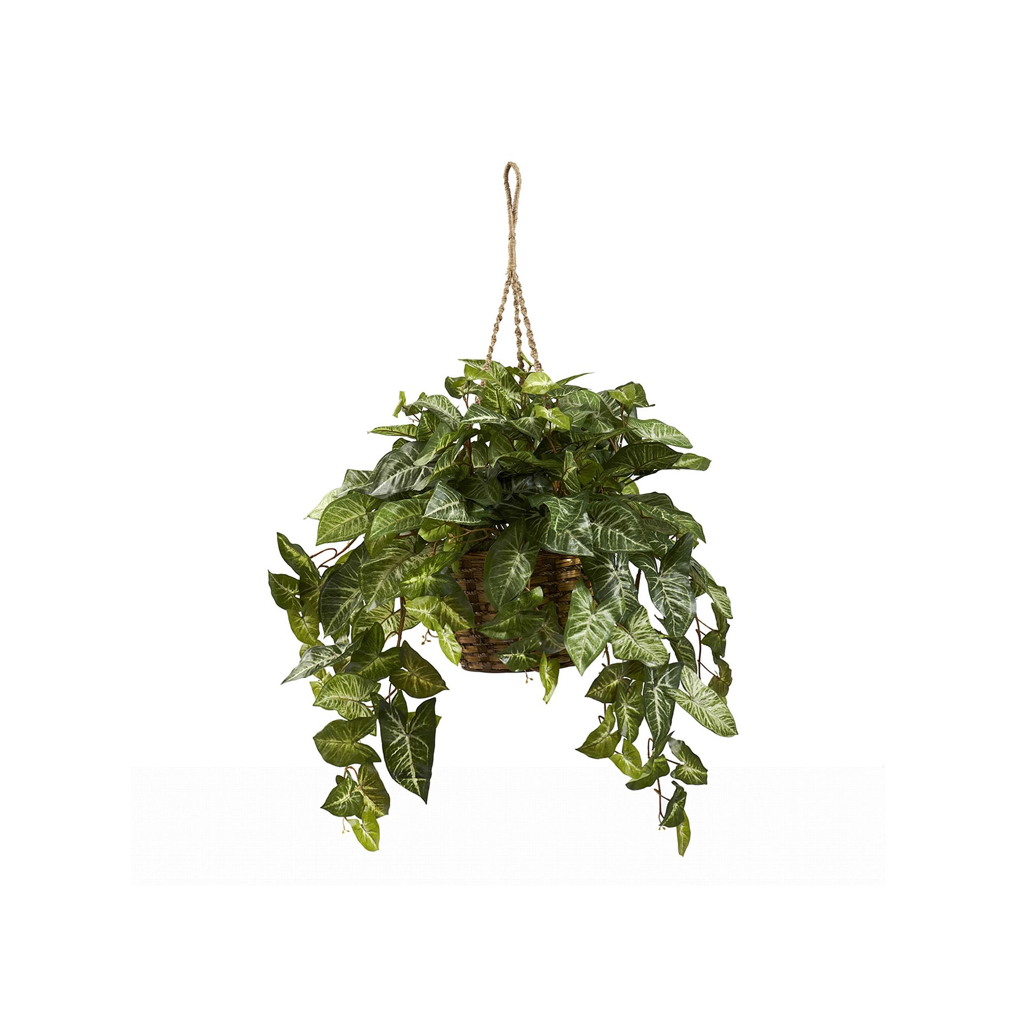 nearly natural Nepthytis Hanging Plant Basket, Green