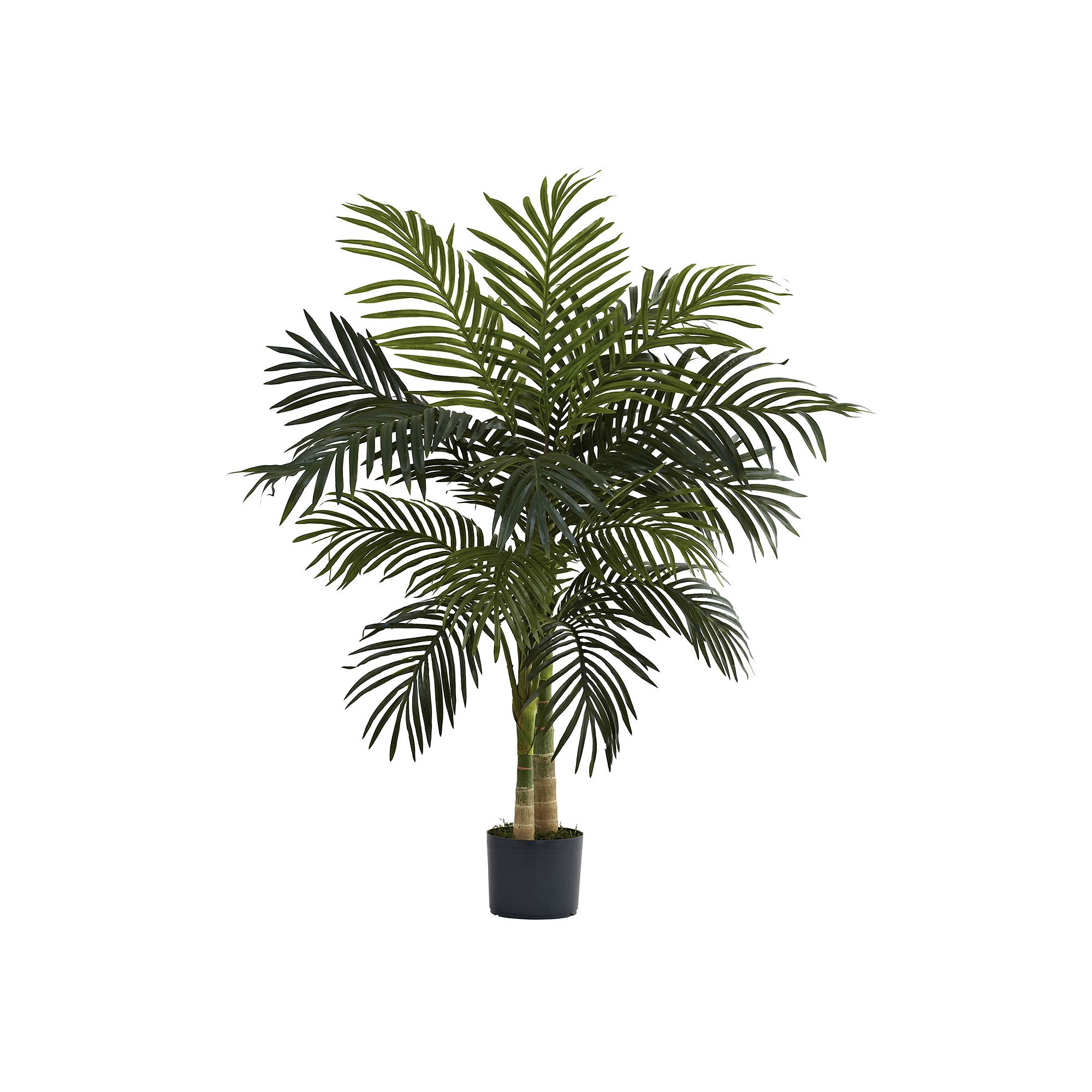 nearly natural 4-ft. Golden Cane Palm Tree, Green