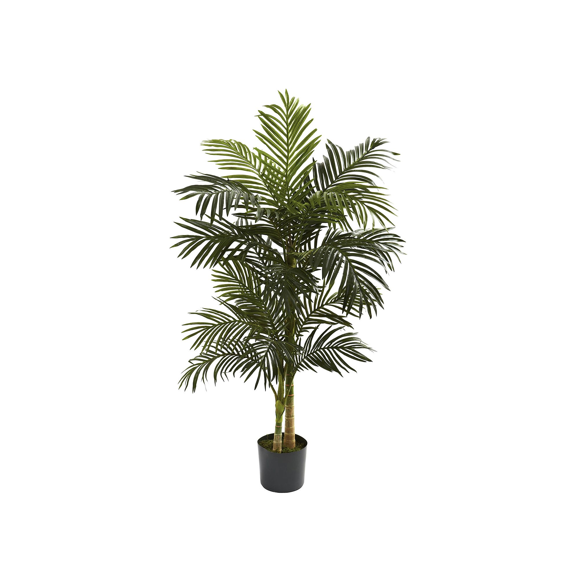 nearly natural 5-ft. Golden Cane Palm Tree, Green