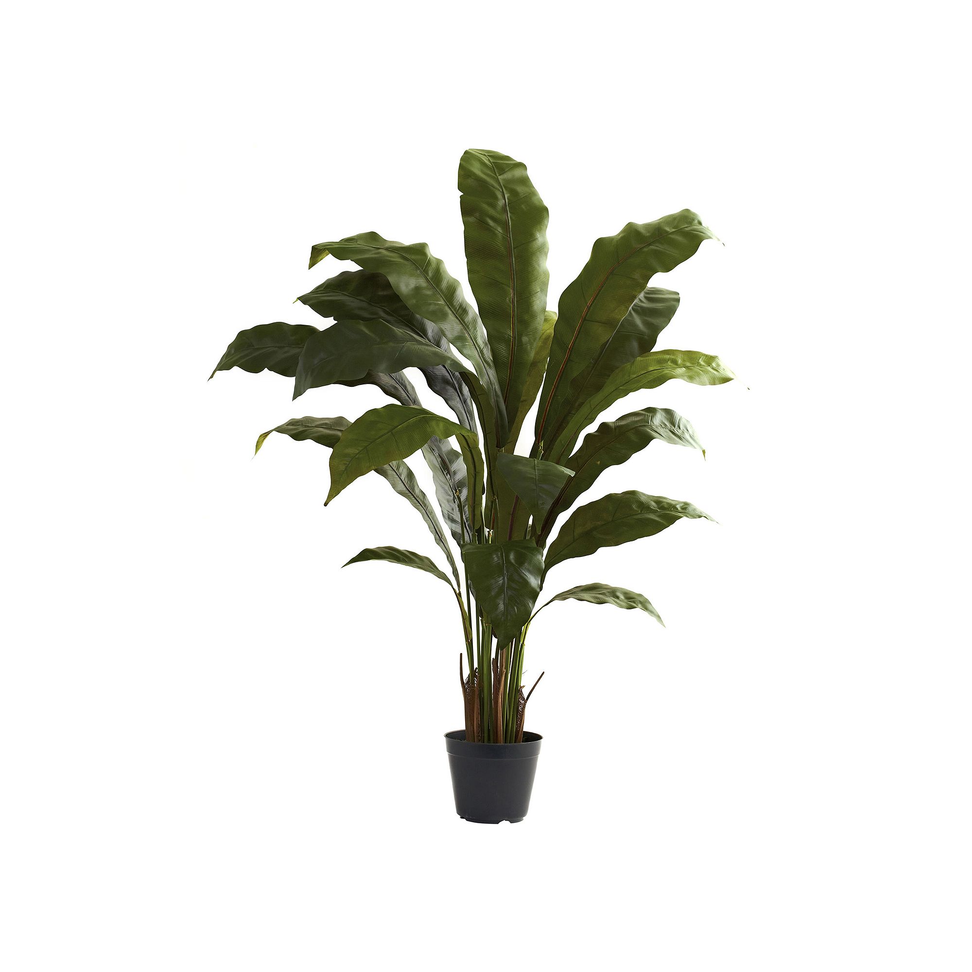 nearly natural 3 1/2-ft. Potted Birds Nest Plant, Green