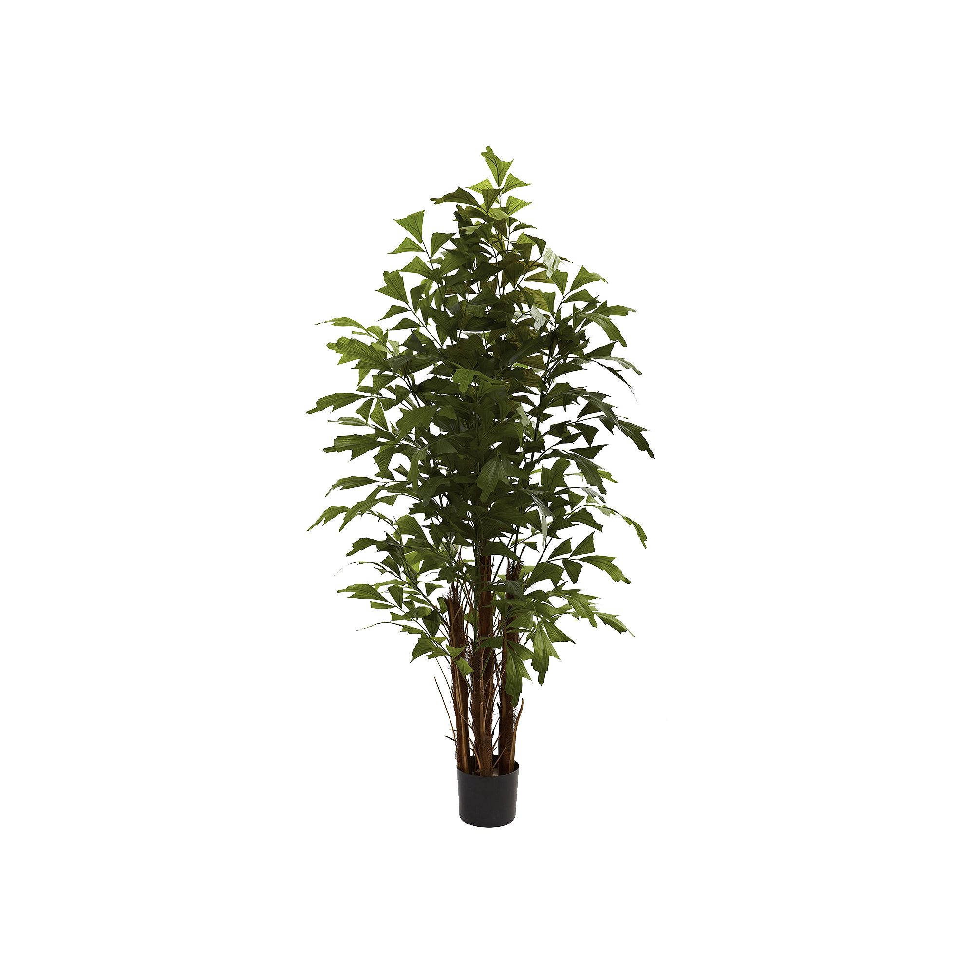 nearly natural 6-ft. Fishtail Palm Tree, Green