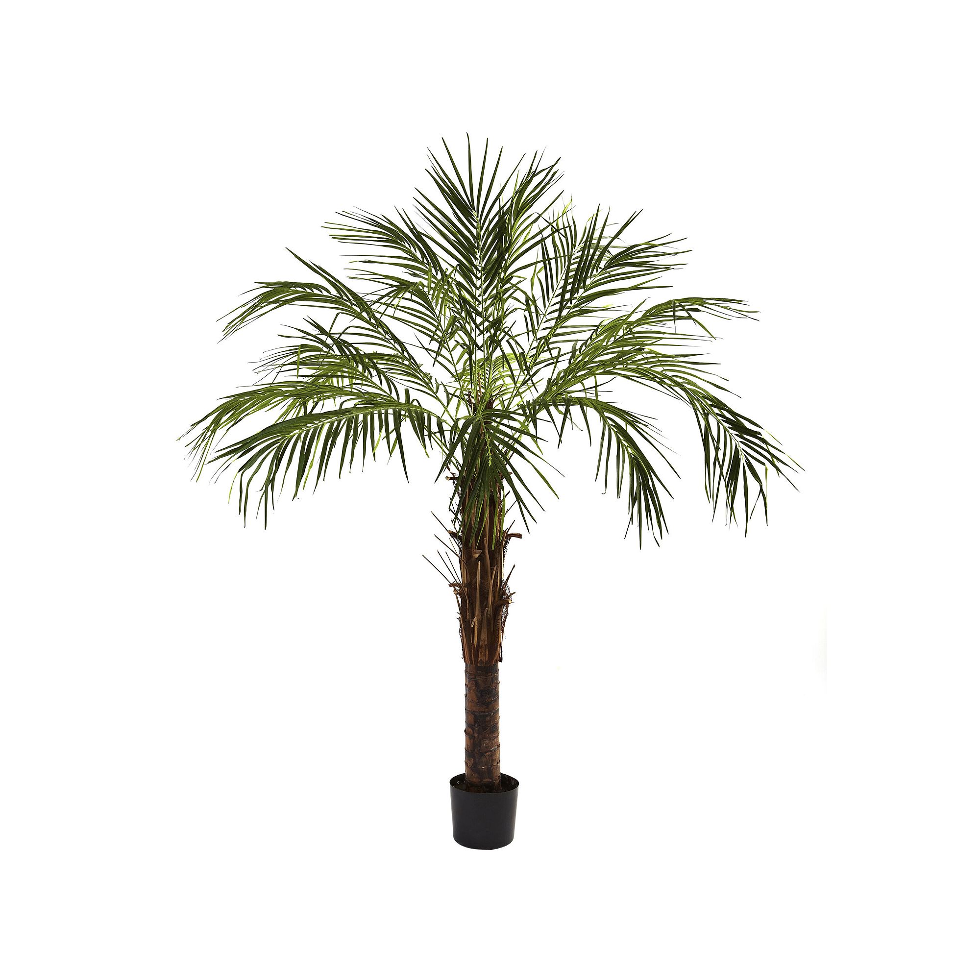 nearly natural 6-ft. Robellini Palm Tree, Green