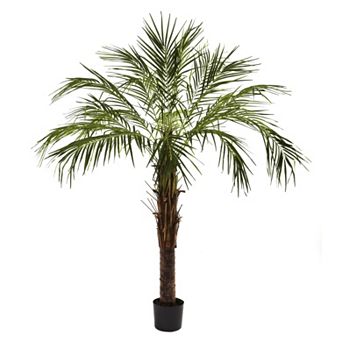 nearly natural 6-ft. Robellini Palm Tree
