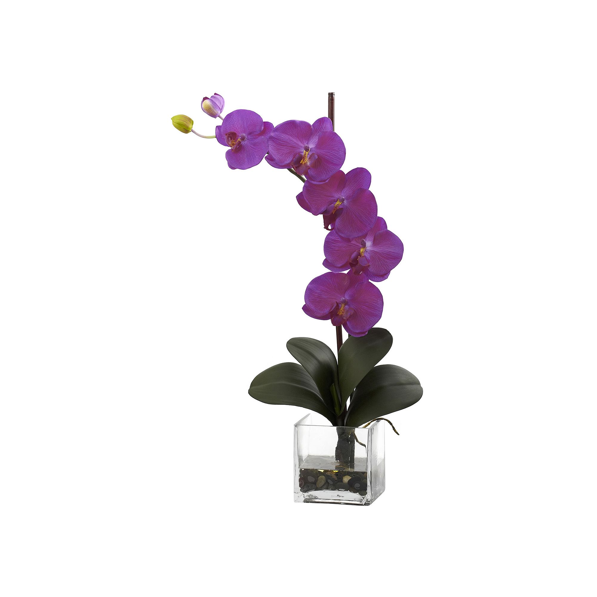 nearly natural Giant Phalaenopsis Orchid Arrangement