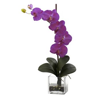 nearly natural Giant Phalaenopsis Orchid Arrangement
