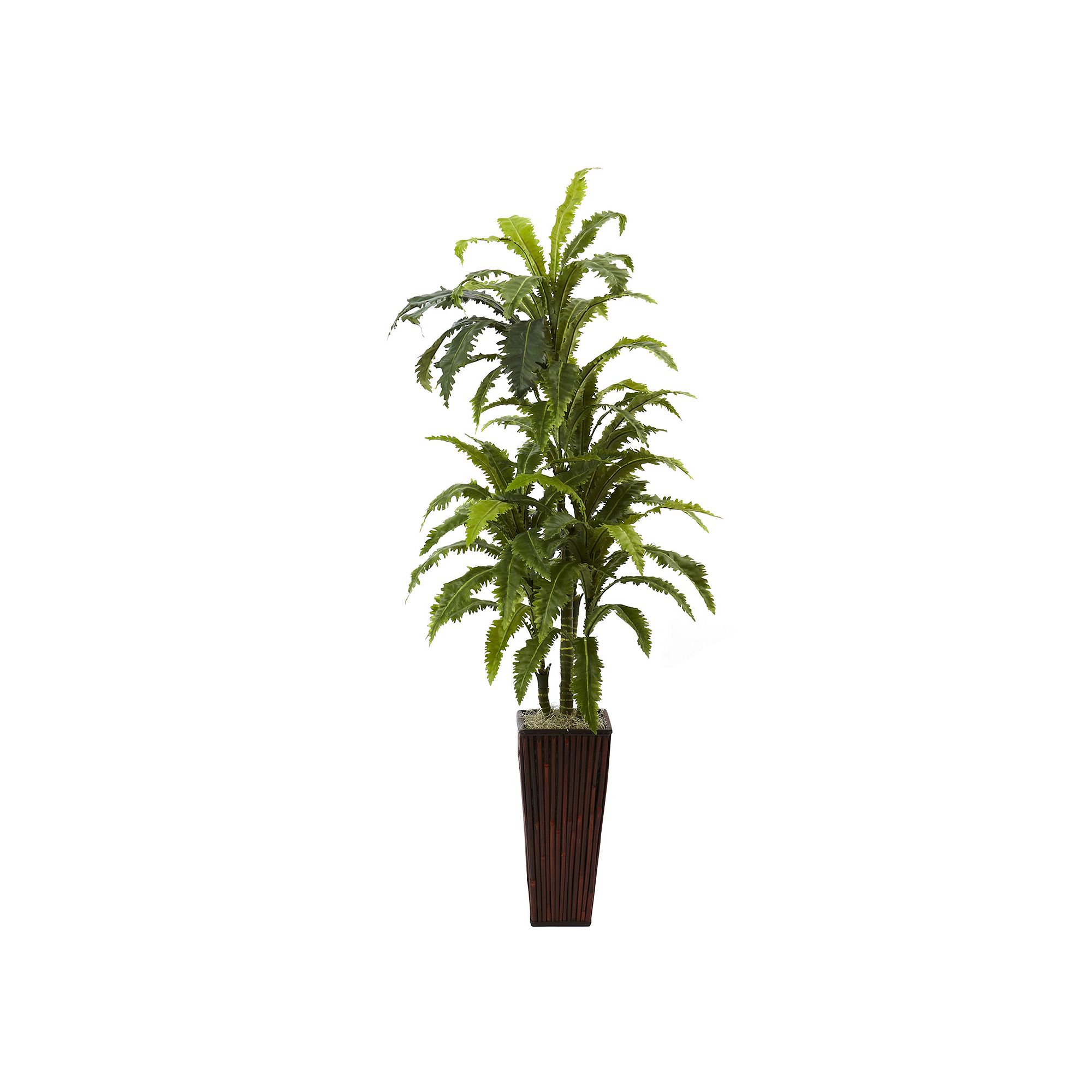 nearly natural Margarintum Plant, Green