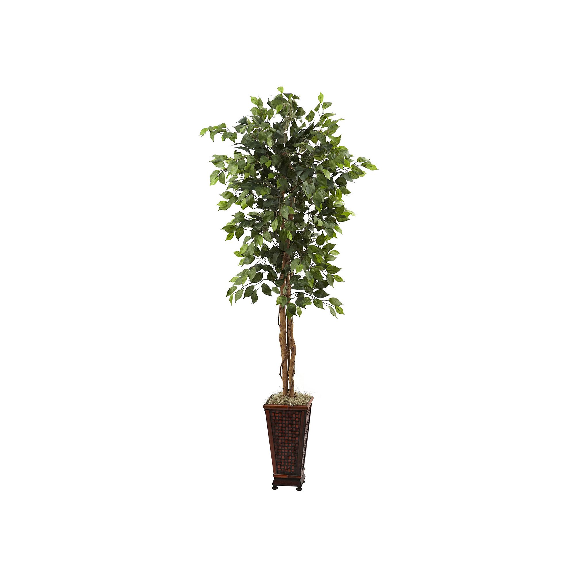 nearly natural 6 1/2-ft. Ficus Tree, Green
