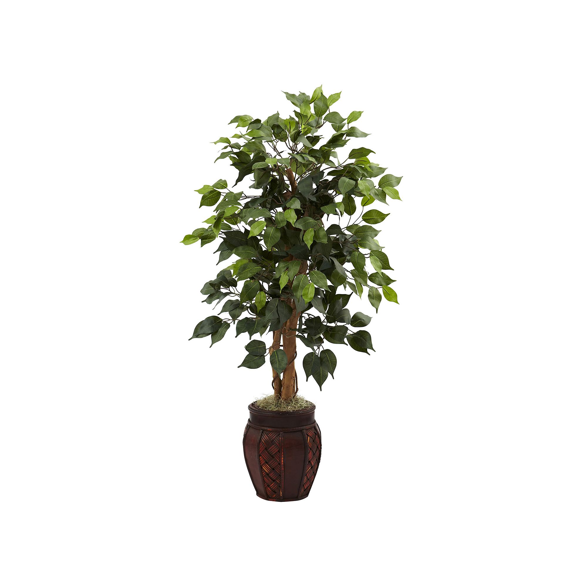 nearly natural Ficus Tree, Green
