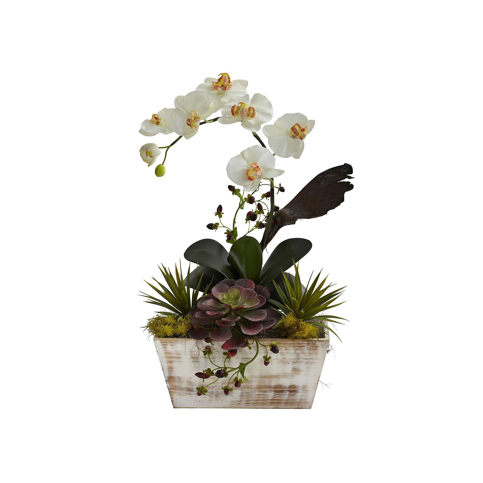 nearly natural Orchid & Succulent Arrangement, White