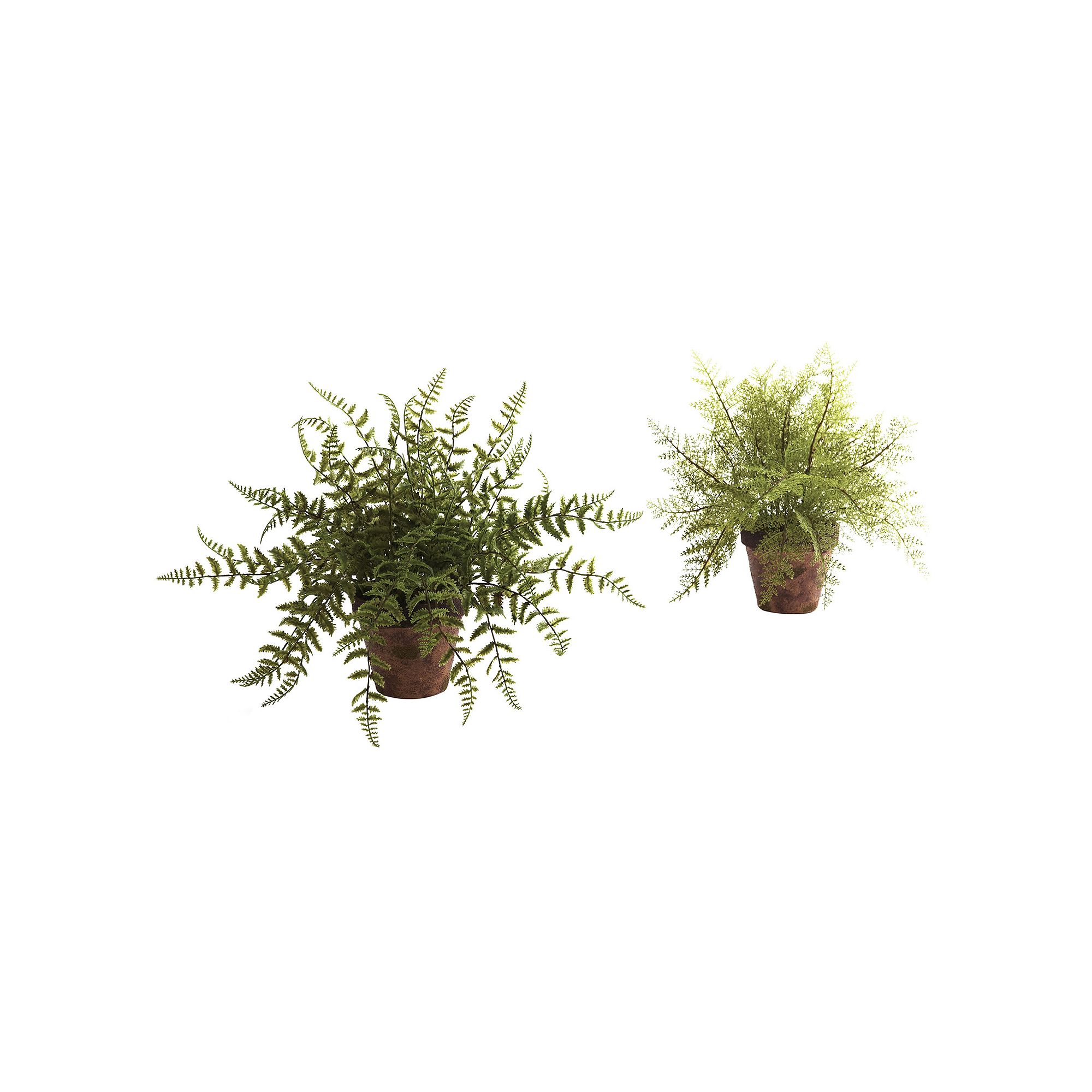 nearly natural 2-pc. Fern Arrangement Set, Green