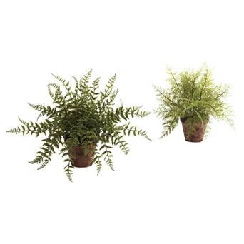 nearly natural 2 pc Fern Arrangement Set