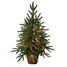 nearly natural 2 1/2-ft. Potted Pre-Lit Artificial Christmas Tree - Indoor