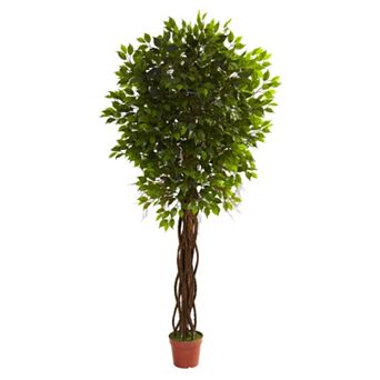 nearly natural 7 1/2-ft. Potted Ficus Tree - Indoor & Outdoor