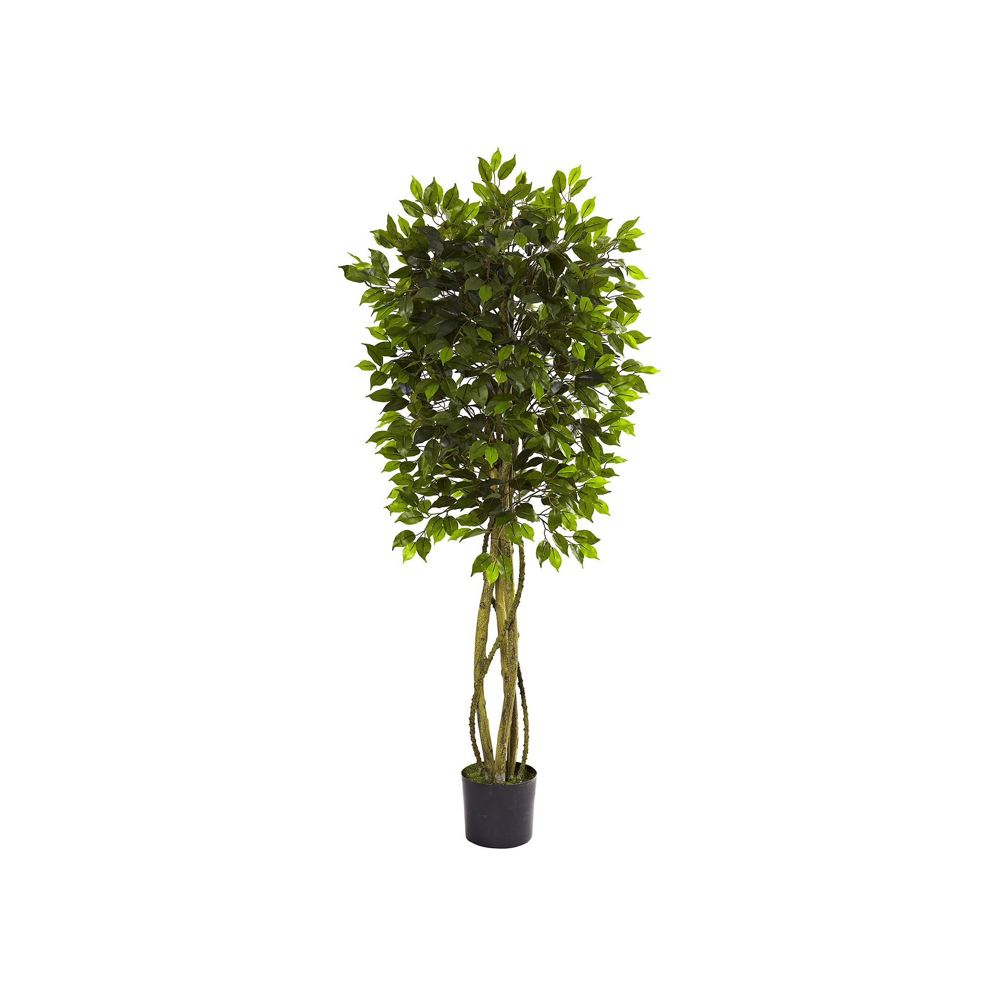 nearly natural 5 1/2-ft. Potted Ficus Tree - Indoor & Outdoor, Green