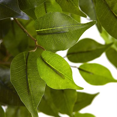 nearly natural 5 1/2-ft. Potted Ficus Tree - Indoor and Outdoor