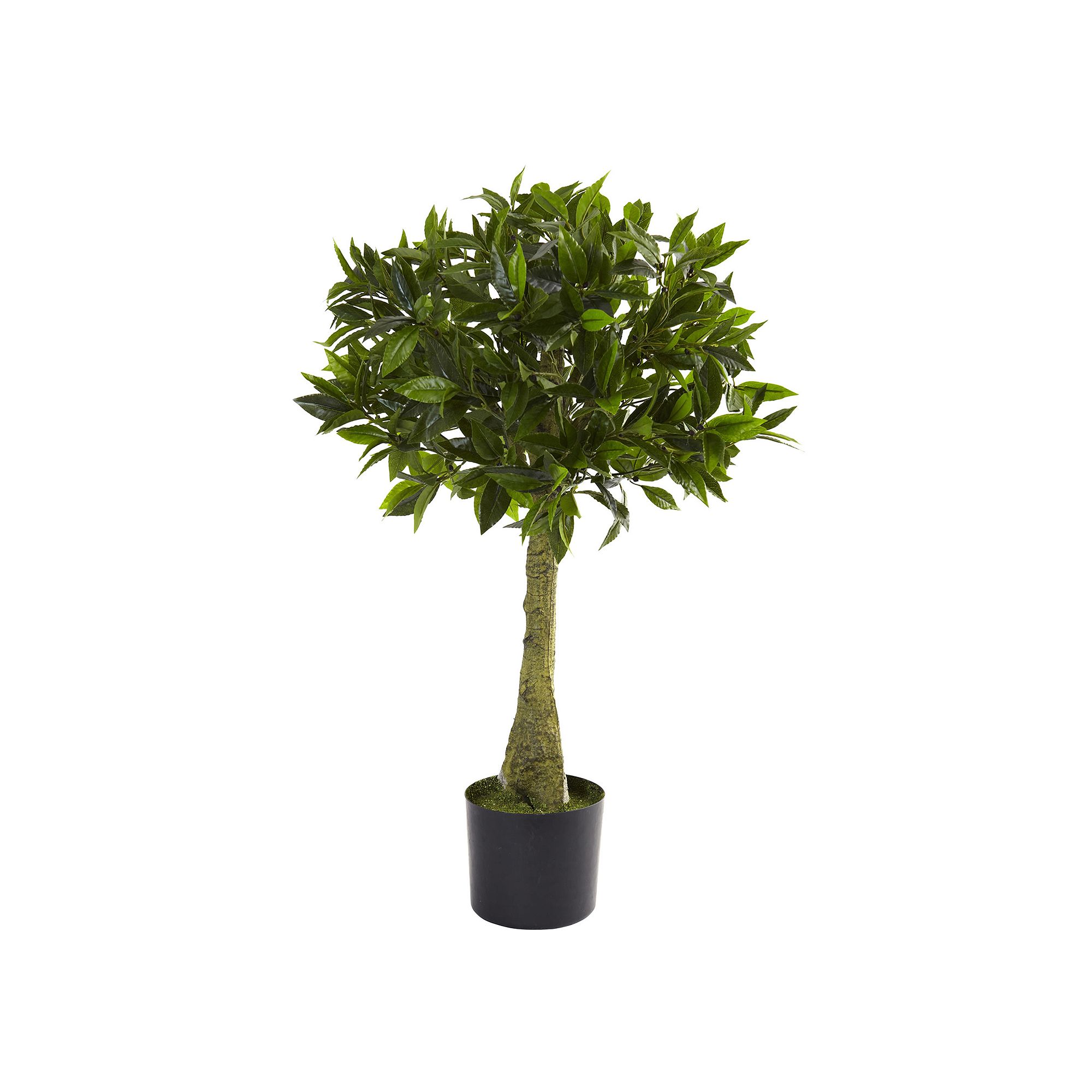 nearly natural 3-ft. Bay Leaf Topiary - Indoor & Outdoor, Green