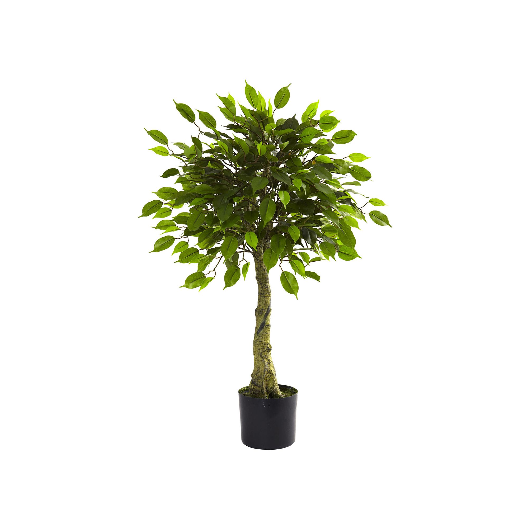 nearly natural 3-ft. Potted Ficus Tree - Indoor & Outdoor, Green