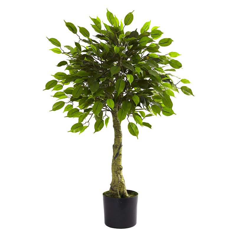 nearly natural 3-ft. Potted Ficus Tree - Indoor & Outdoor, Green