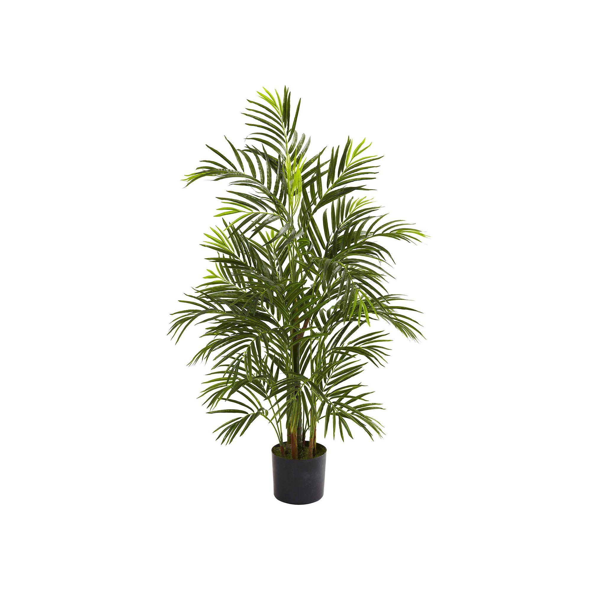 nearly natural 3 1/2-ft. Potted Areca Palm Tree - Indoor & Outdoor, Green
