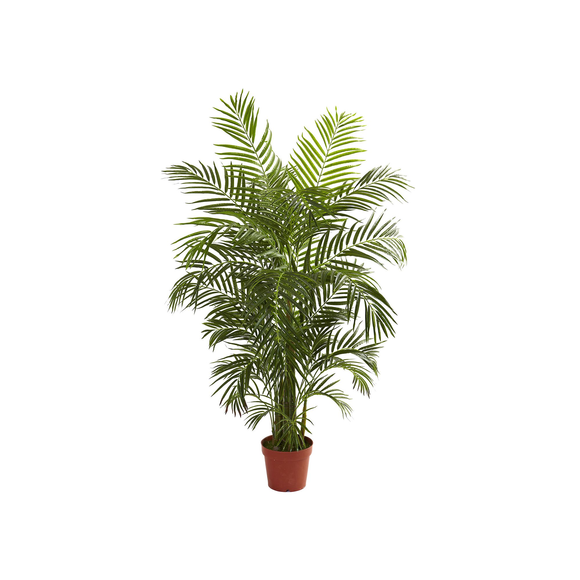 nearly natural 4 1/2-ft. Potted Areca Palm Tree - Indoor & Outdoor, Green