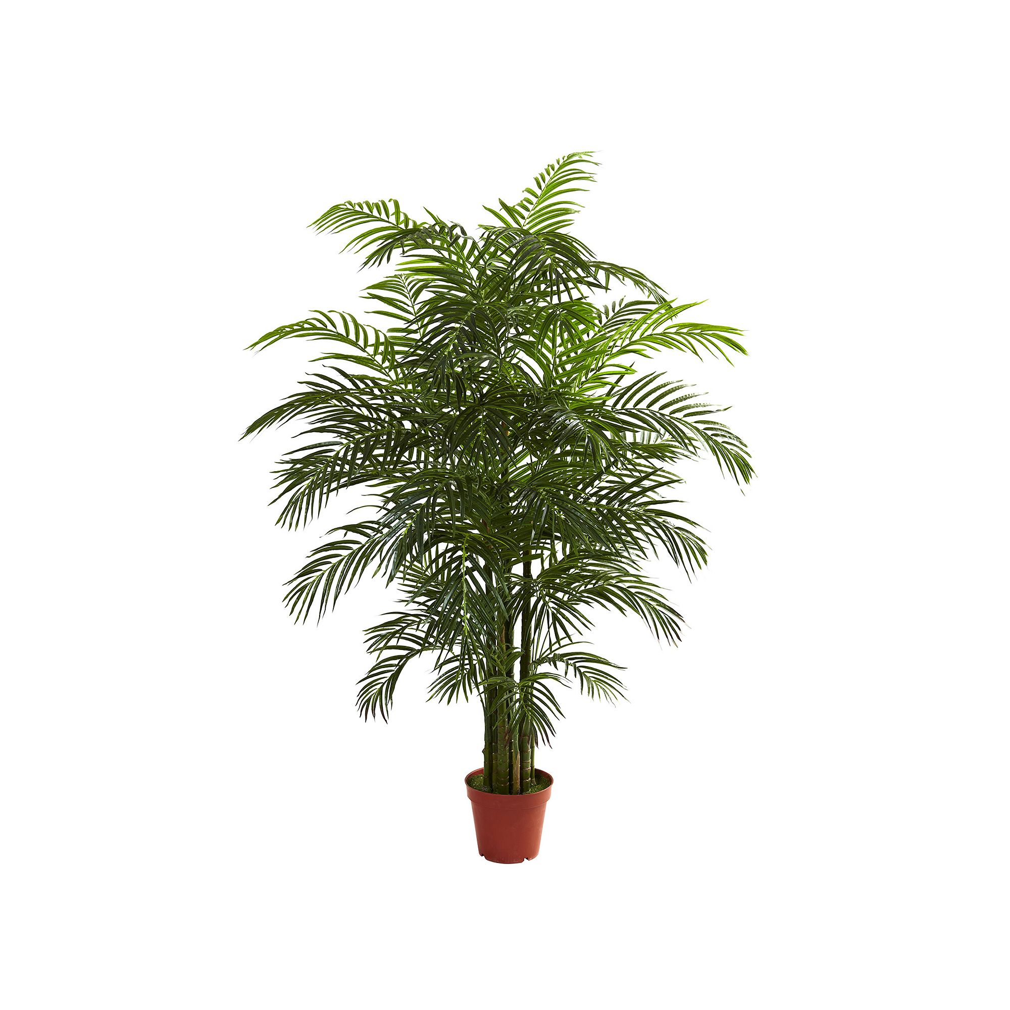 nearly natural 6 1/2-ft. Potted Areca Palm Tree - Indoor & Outdoor, Green