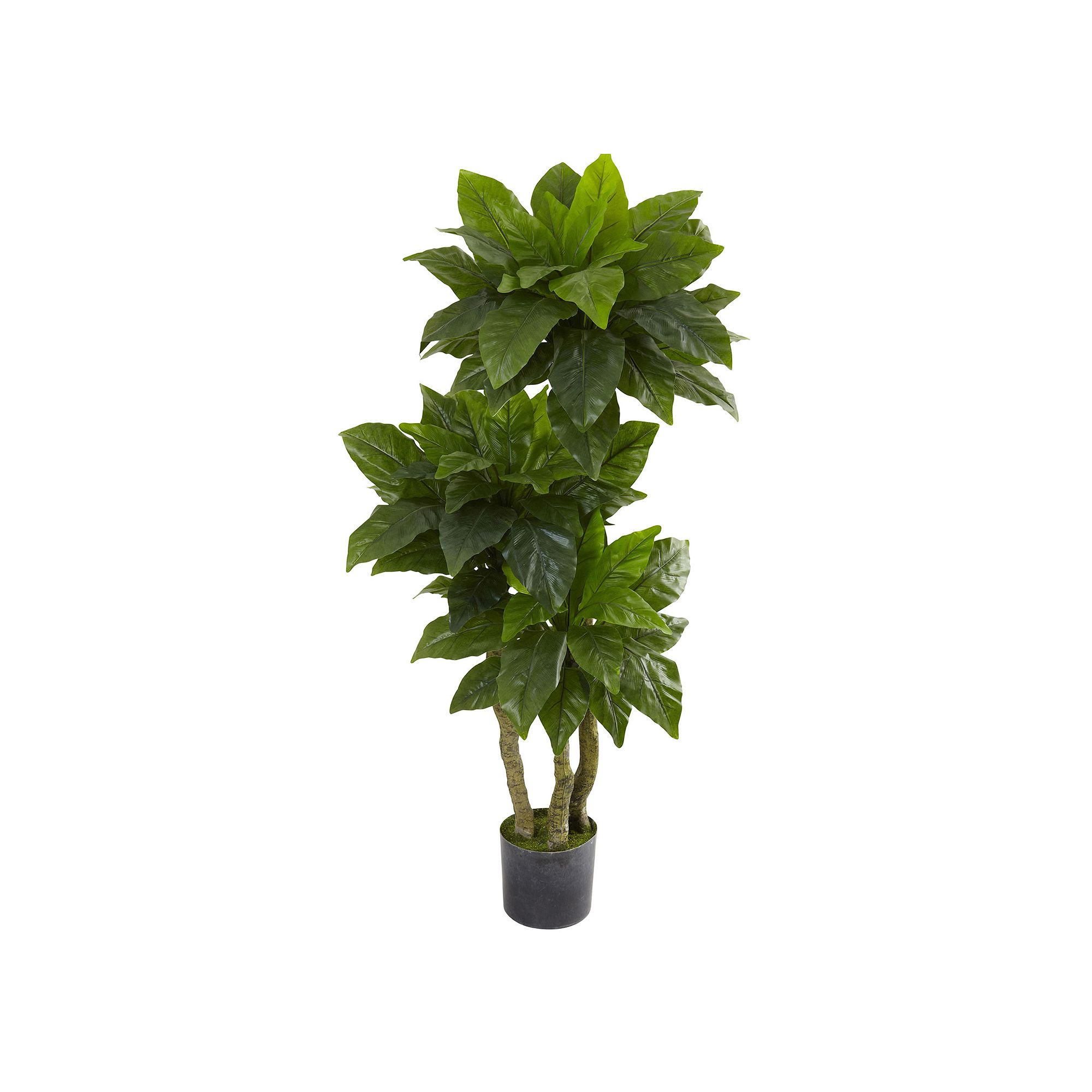 nearly natural 5-ft. Potted Bird Nest Fern Tree - Indoor & Outdoor, Green