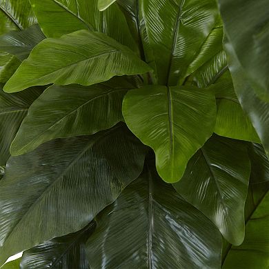 nearly natural 5-ft. Potted Bird Nest Fern Tree - Indoor and Outdoor