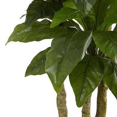 nearly natural 5-ft. Potted Bird Nest Fern Tree - Indoor and Outdoor