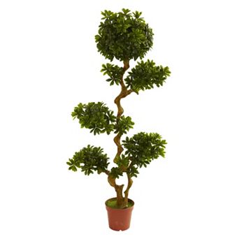 nearly natural 5-ft. Potted Pittispourm Tree - Indoor & Outdoor