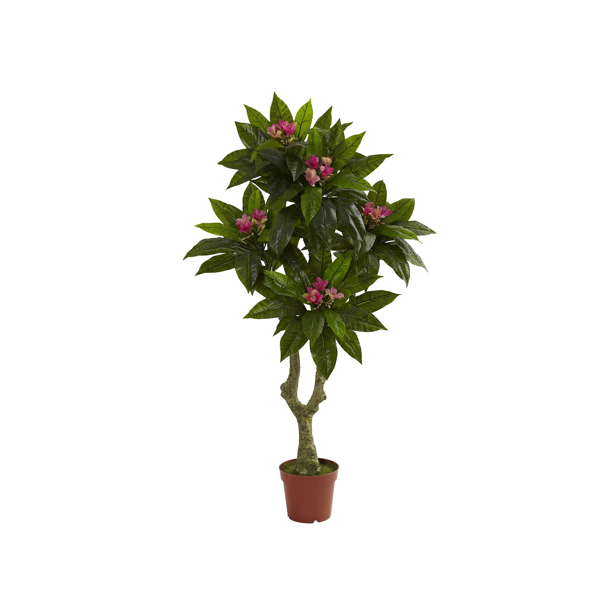 nearly natural 5-ft. Plumeria Tree - Indoor & Outdoor, Green