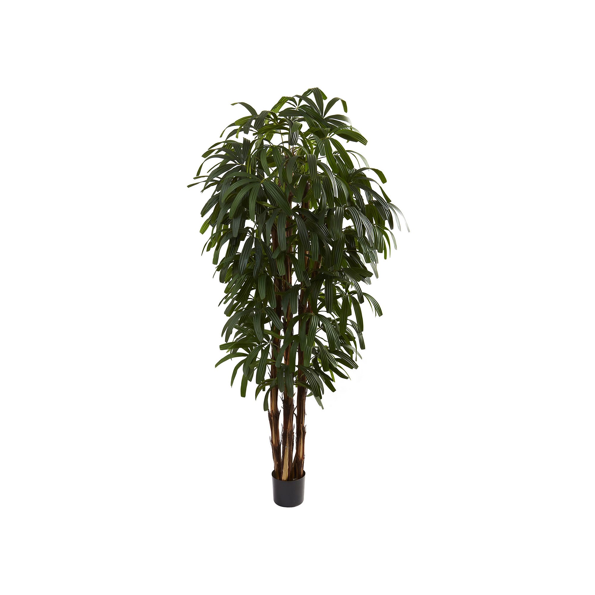 nearly natural 6-ft. Potted Raphis Tree, Green