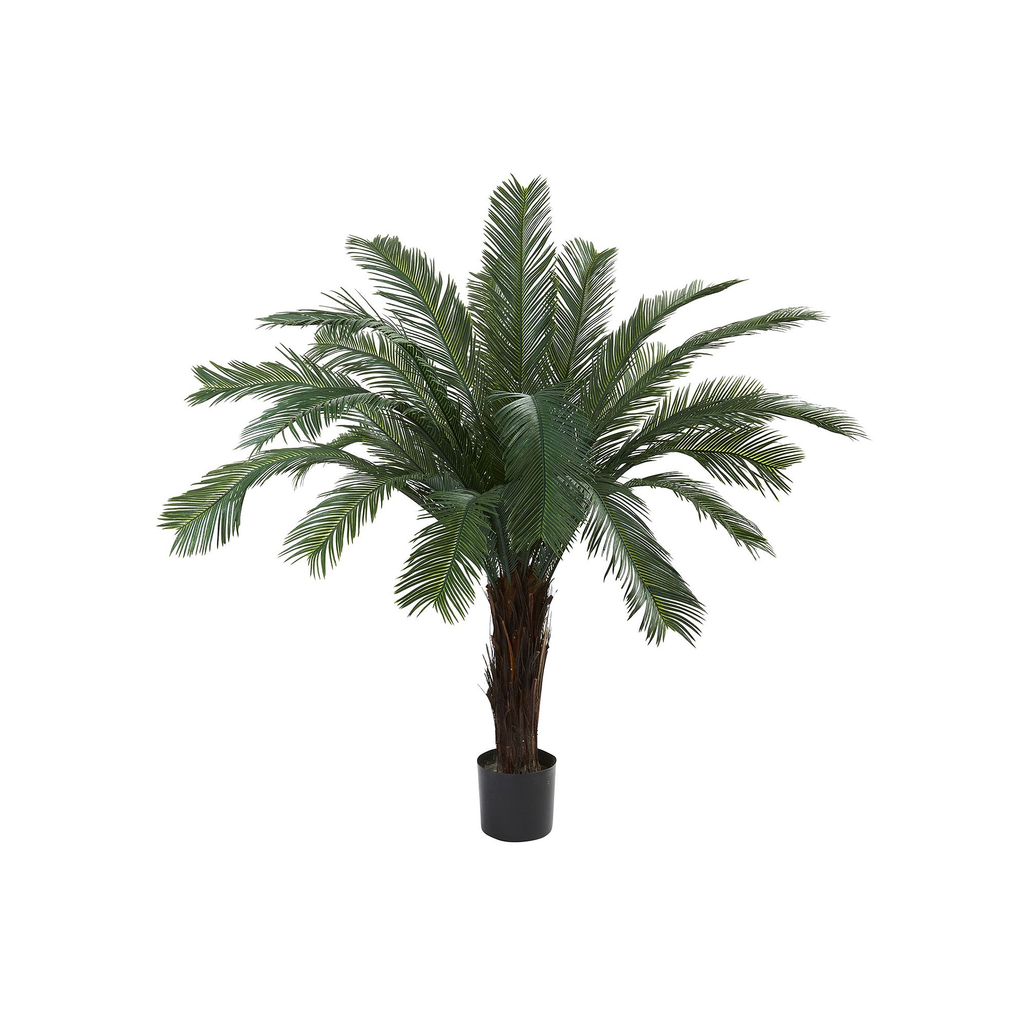 nearly natural 5-ft. Cycas Tree - Indoor & Outdoor, Green