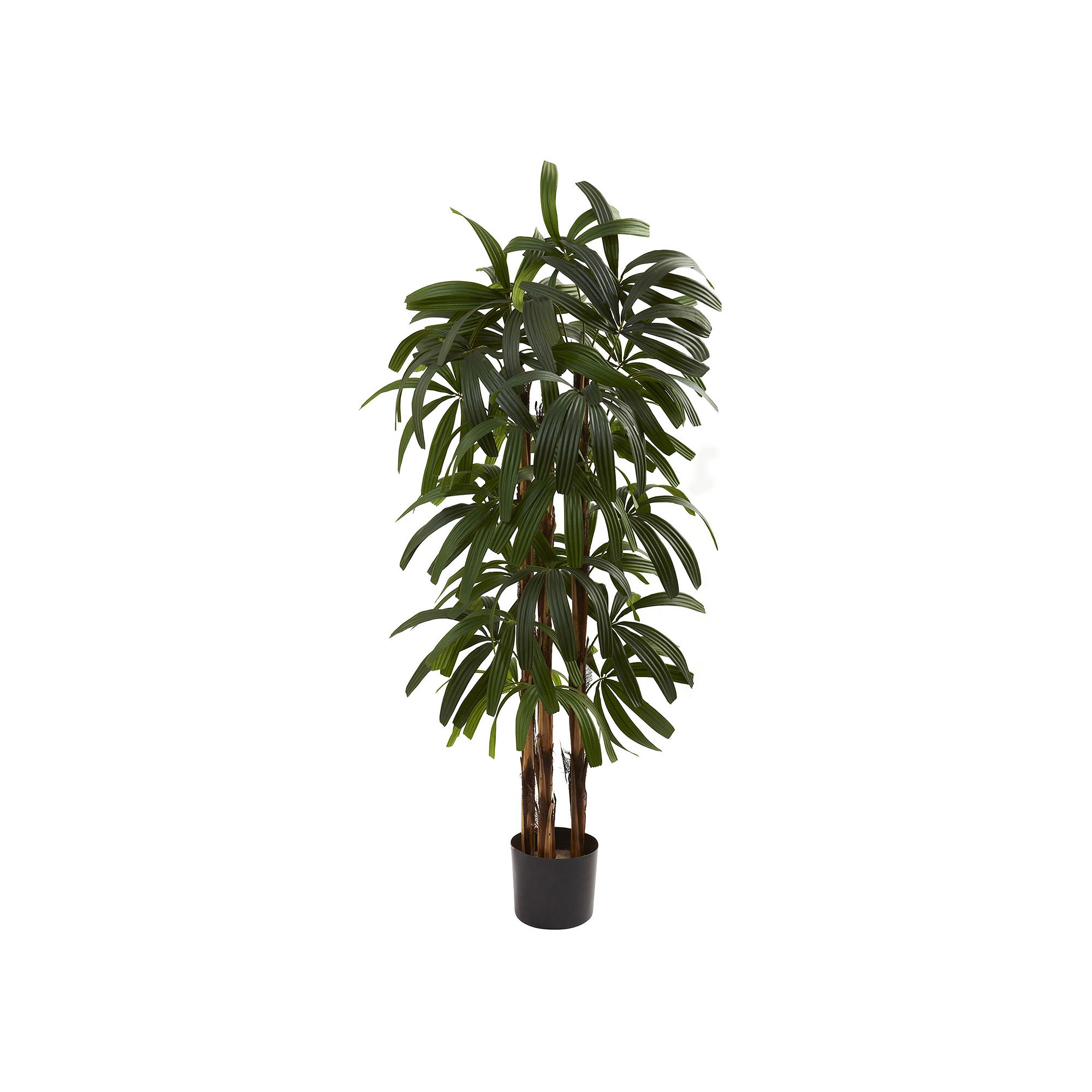 nearly natural 4-ft. Potted Raphis Tree, Green