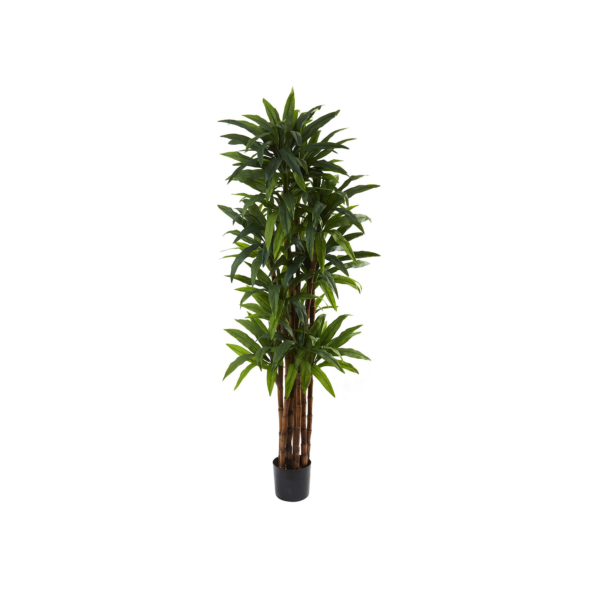 nearly natural 6 1/2-ft. Potted Dracaena Tree, Green