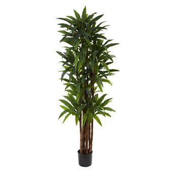 nearly natural 6 1/2-ft. Potted Dracaena Tree