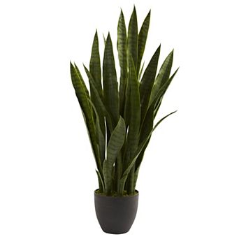 nearly natural Sansevieria Arrangement