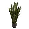 nearly natural Sansevieria Arrangement