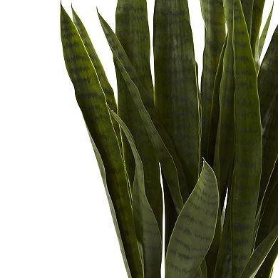 nearly natural Sansevieria Arrangement