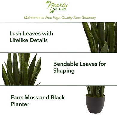 nearly natural Sansevieria Arrangement