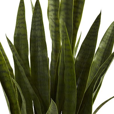 nearly natural Sansevieria Arrangement