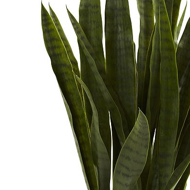 nearly natural Sansevieria Arrangement