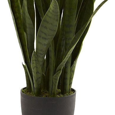 nearly natural Sansevieria Arrangement