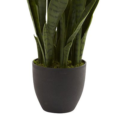 nearly natural Sansevieria Arrangement